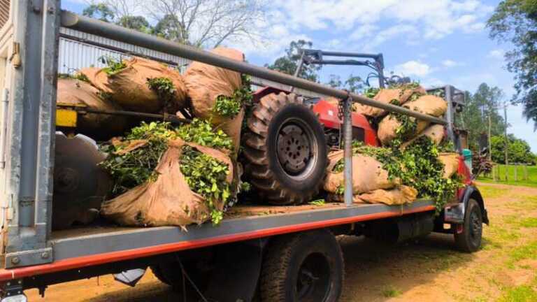 tractorazo milei