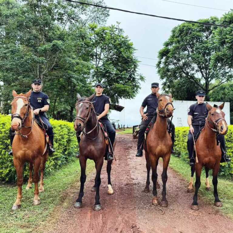 caballos policias 1
