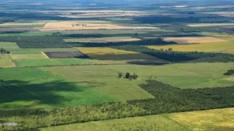 ley de tierras