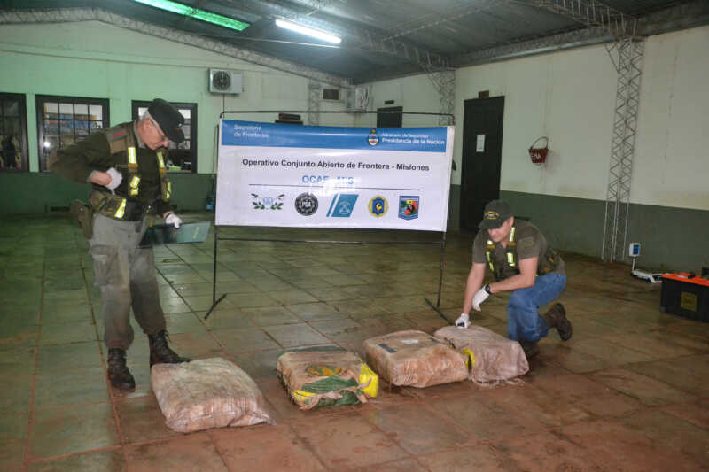 Mado: decomisan 103 kilos de marihuana y 100 plantines de cannabis sativa 1 103 kg marihuana 1
