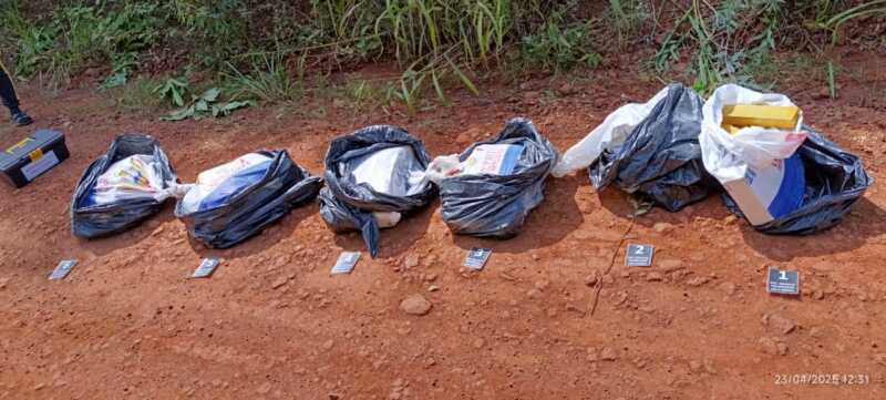 Oberá: secuestraron marihuana valuada en $174 millones 2 1166d9b7 6076 41fa ad58 166fdf9362a8