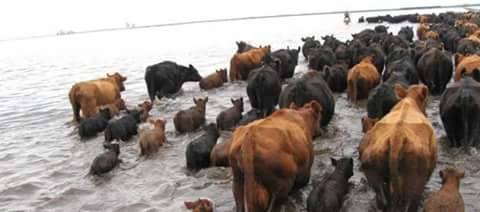 13062037 10201655761993611 1627613201672618639 n