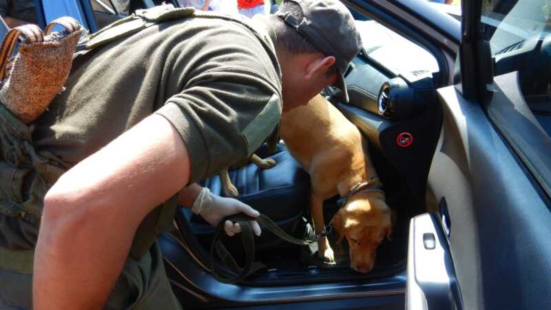 1327 Intentaba huir con seis kilos de cocaina en su automovil 2