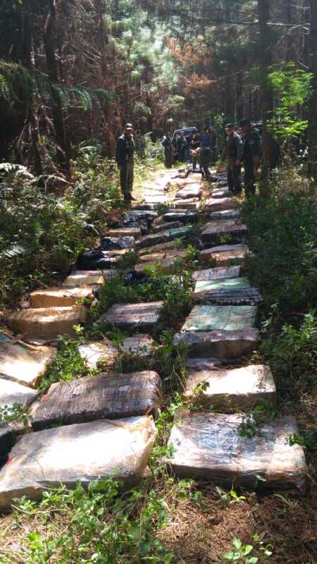 Decomisan más de dos toneladas y media de marihuana en Caraguatay 1 1539296761