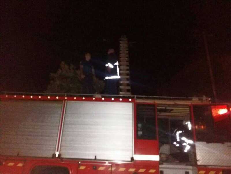 Garupá: bomberos resguardaron a una familia de un enjambre de abejas 1 16681880 1254763947952034 2337307507516050115 n