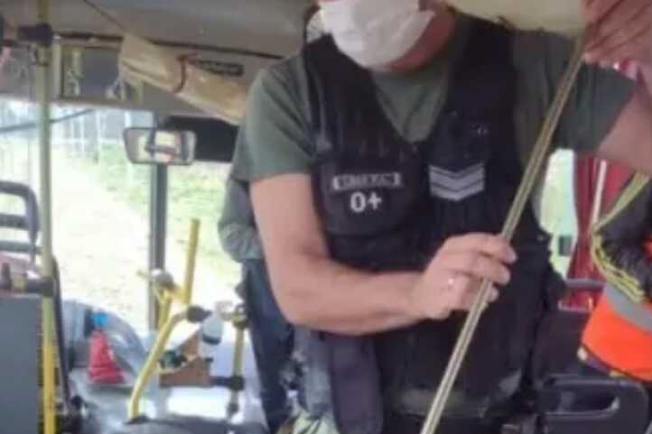 Resguardaron a una yarará que encontraron dentro de un colectivo 1 1dos