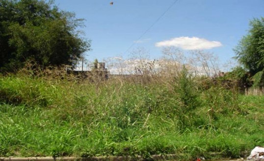 2013 04 24 resize 1366807596