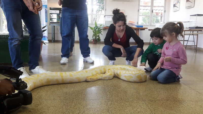Costanera: se extiende la exposición de animales autóctonos y exóticos 1 20170428 163947