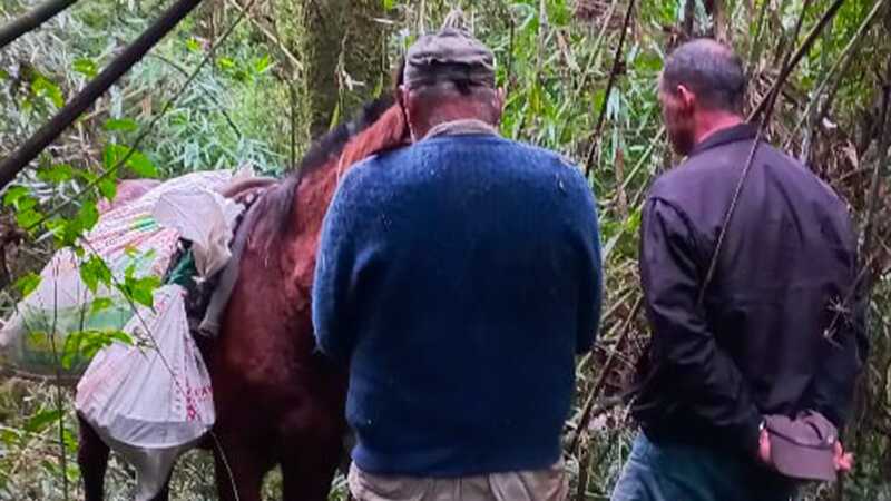 Interceptan cazadores furtivos dentro del Parque Provincial Urugua-í 1 2c38cf73 696a 4329 a7ff 518bcc584af4