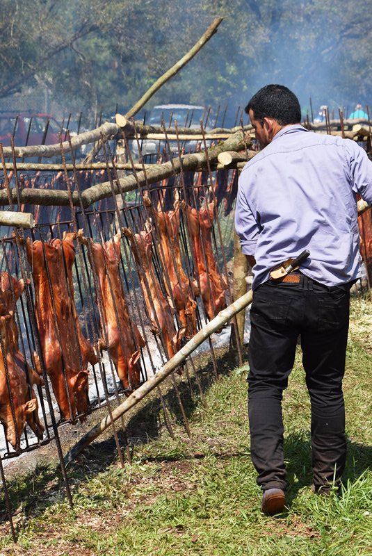 Ruiz de Montoya: avanza la producción de sandías sobre la ruta 7 2 3 7