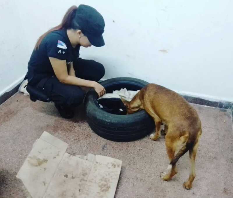 311302ac f812 4cb1 9bd1 7ae15f4fba36