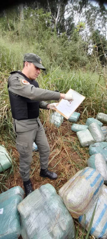 Unos 507 kilos de marihuana fueron hallados en una zona montuosa de Eldorado 1 507 kilos de marihuana en misiones 2