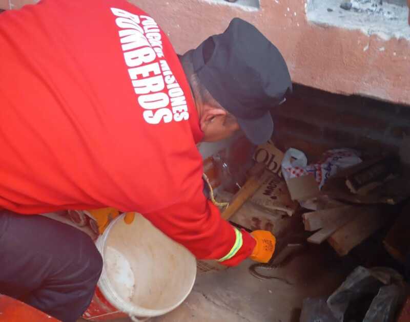 Rescataron a un perro abandonado, un loro ofrecido a la venta y una serpiente en Misiones 2 52650555 e67f 4321 b82b 4ef7e0368b65