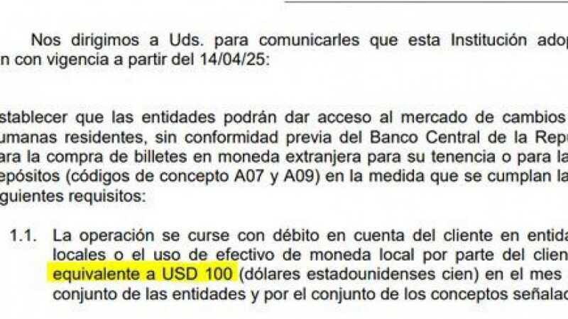 El BCRA ordenó a los bancos no vender más de 100 dólares por mes a las compras en efectivo 1 67f9b42197ee9 940 529