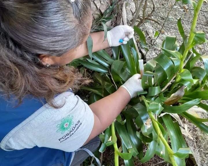 6b3ec5ce a3ea 495d a66f 678049fc723a