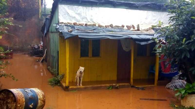 7b4322f8 f501 4f41 9b00 c91125dfa49e