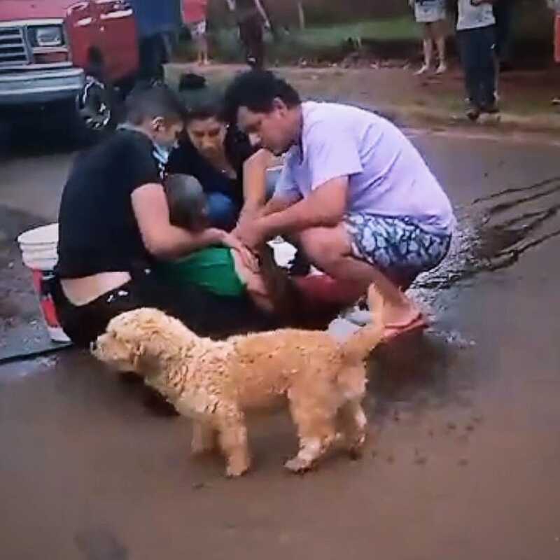 82e0aa16 fb80 4f71 a594 0da192774df3