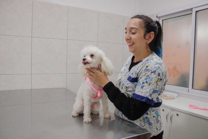 El IMuSA se posiciona como centro de referencia en salud animal 1 8a66261d 3459 4c4f 8350 e473e4c505d6