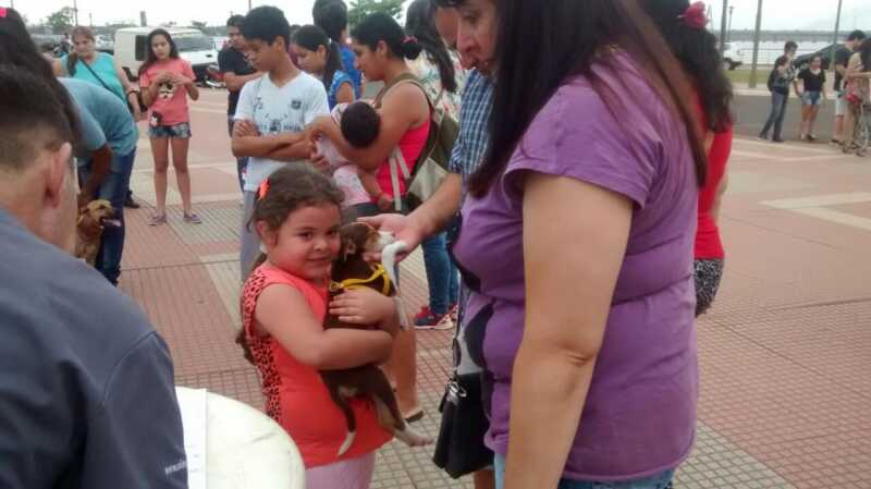 Adopcion 3