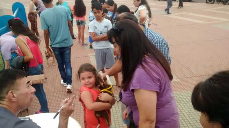 Adopcion 4
