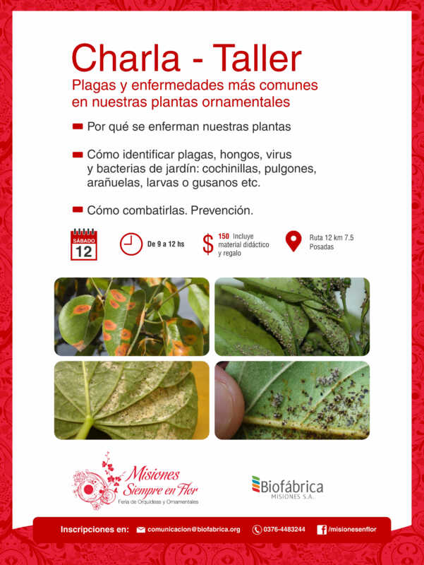 Afiche Charla taller