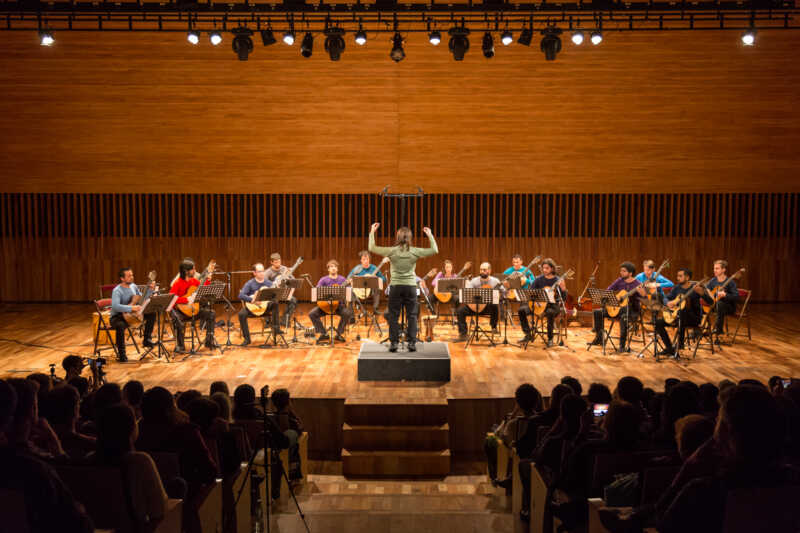 Brouwer Camerata 3497