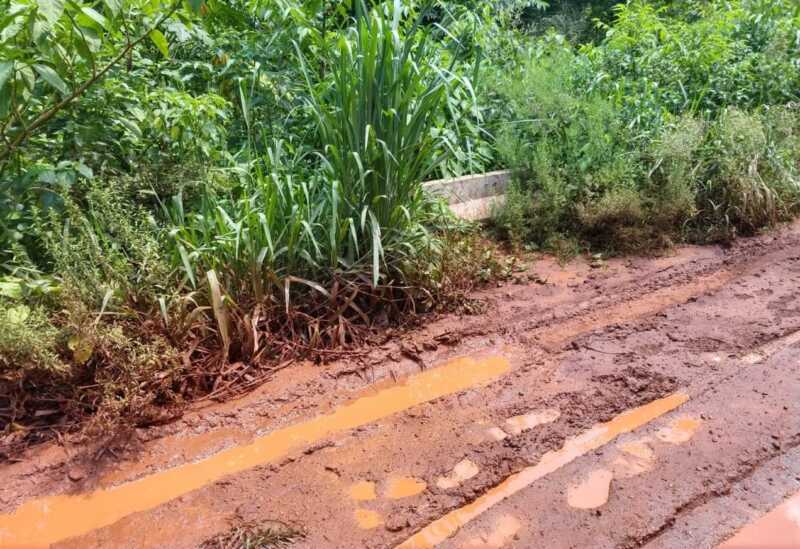 Camino principal Segundo Araujo que necesita entoscado para que se pueda transitar2