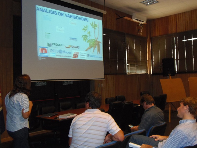 Cluster de la mandioca Prosap Cerro Azul 6