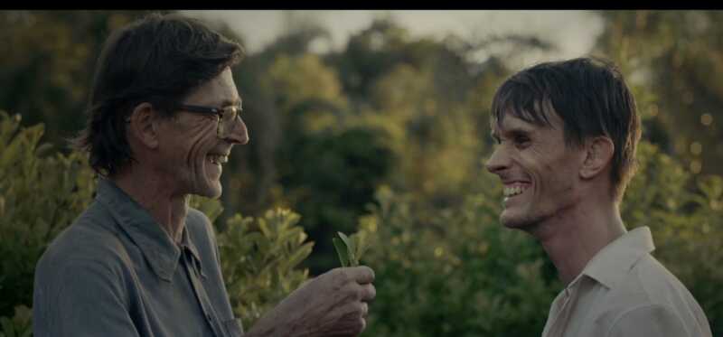 Cortometraje Araucario 2