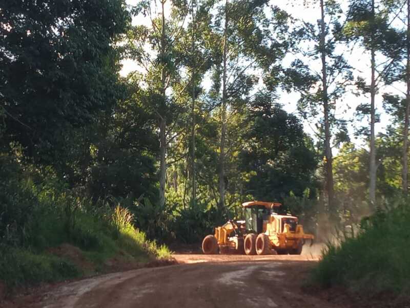 DPV TERRADAS 0422 III