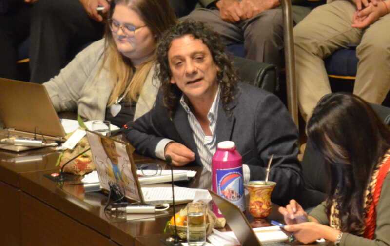 Diputado Martin Sereno PAyS 1