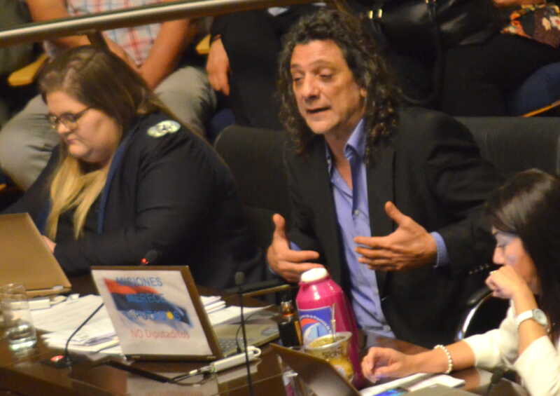 Garupá: solicitan ordenamiento territorial y regularización dominial en barrio Horacio Quiroga 1 Diputado Martin Sereno en el recinto1