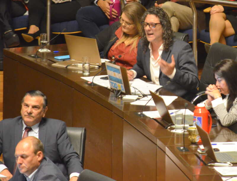 Diputado Martin Sereno en el recinto2