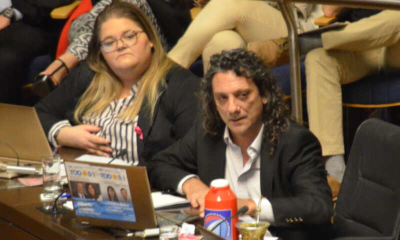 Diputado Martin Sereno1