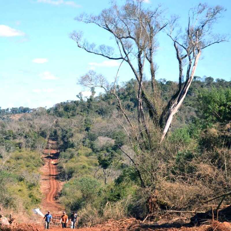 Proyecto de Ley busca crear un impuesto a dueños de grandes extensiones de tierras en Misiones 1 El PAyS propone un impuesto a las grandes extensiones de tierras1