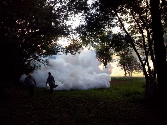 Eldorado operativo limpieza de cacharros y fumigacion 5