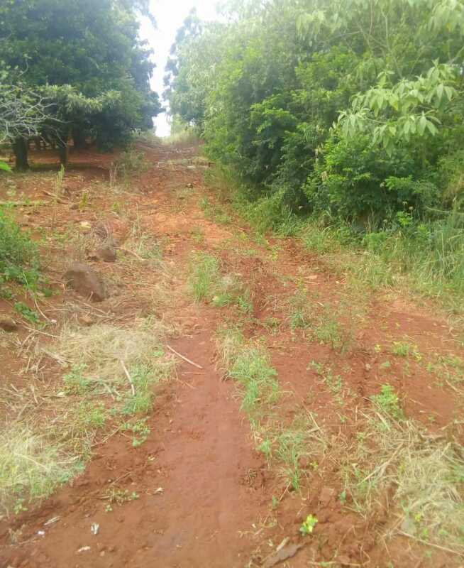 En la Picada Los Pinos reclaman que el intendente de San Vicente cumpla en arreglar el camino3