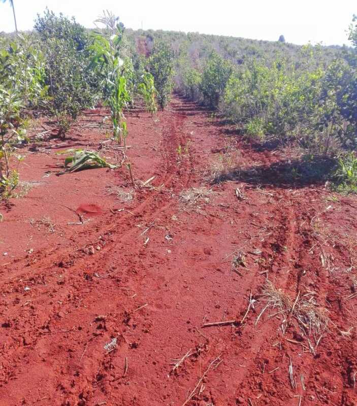 En la Picada Los Pinos reclaman que el intendente de San Vicente cumpla en arreglar el camino4