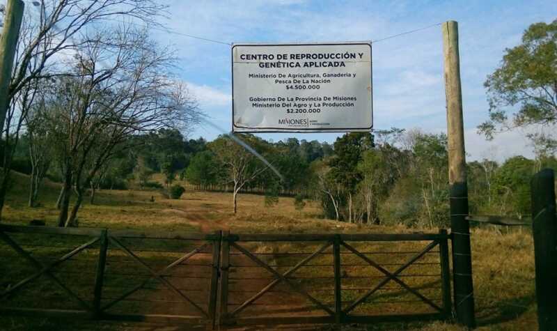Entrada Centro de Genetica1