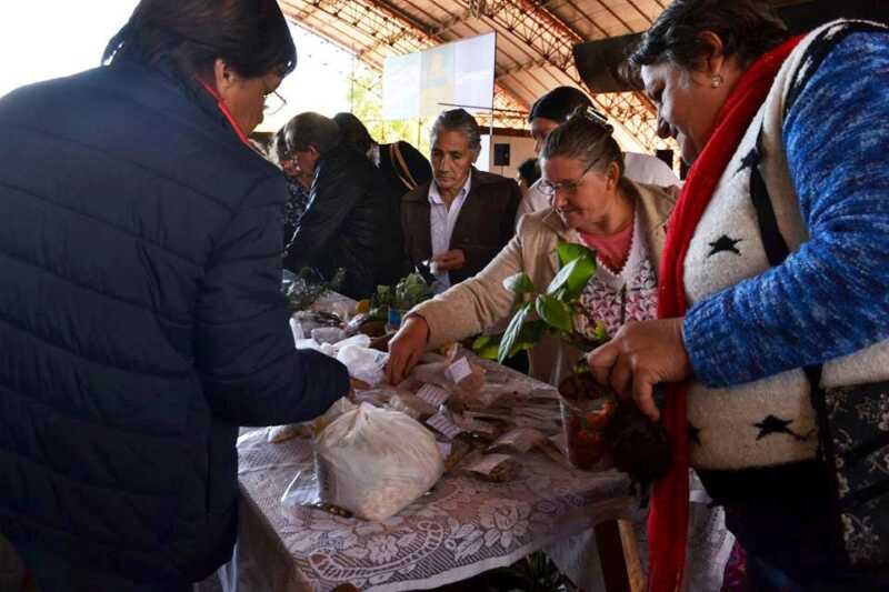 Feria Semillas Alto Uruguay 2