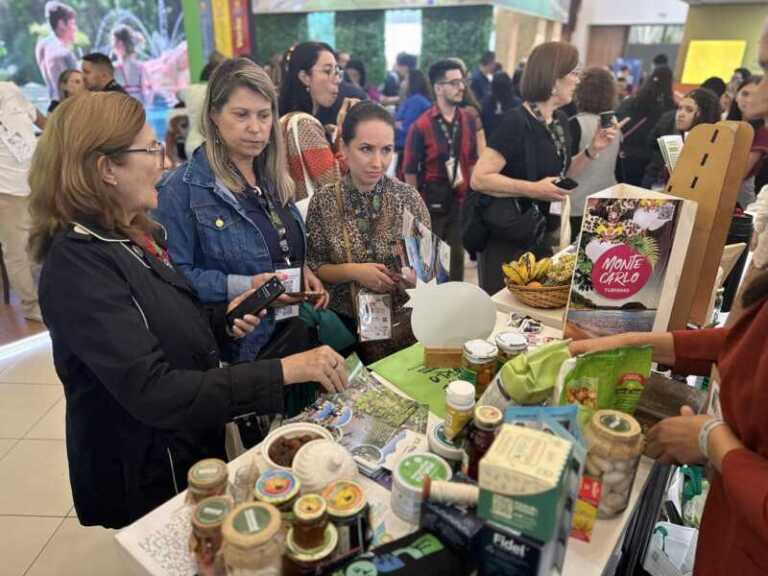 Misiones dijo presente en el Festival das Cataratas