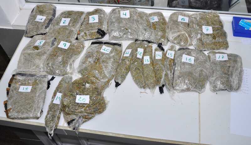 GENDARMERIA DETUVO A UN PASAJERO MULA CON MARIHUANA ADOSADA AL CUERPO N°2