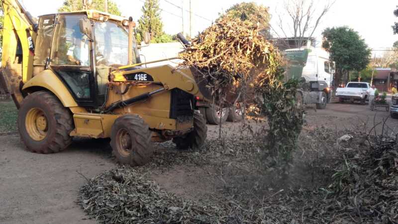 Aplicarán multas de hasta 20 mil pesos a los vecinos que dejen restos de poda en la vía pública 2 IMG 20170725 WA0728
