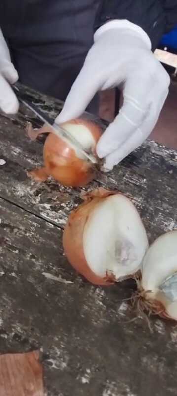 Detectan intento de ingresar drogas escondidas en cebollas en la Unidad Penal VI 2 IMG 20250603 WA0047