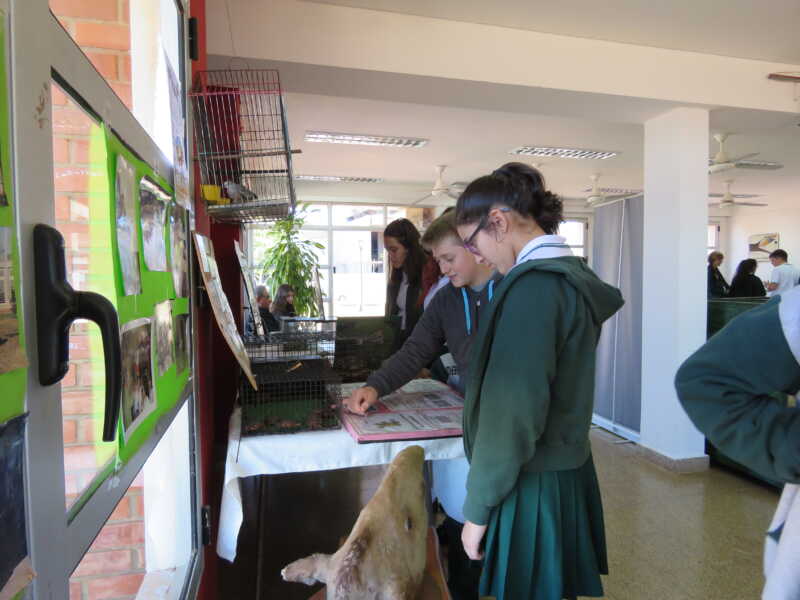 Costanera: se extiende la exposición de animales autóctonos y exóticos 2 IMG 1921