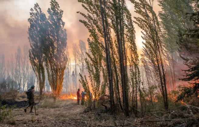 Impactantes imágenes de los incendios en la Patagonia 4 LLL 2