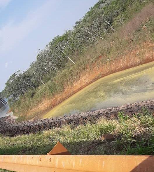 Puerto Libertad: para no respirar polen la población reclama que Arauco libere 300 metros de las cortinas de pinos 1 La pastera chilena Arauco enferma con el polen de los pinos a la poblacion de Libertad2