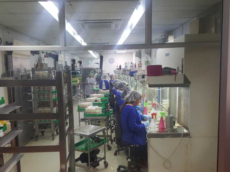 Laboratorio de micropropagacion Rahan Meristem Ltd