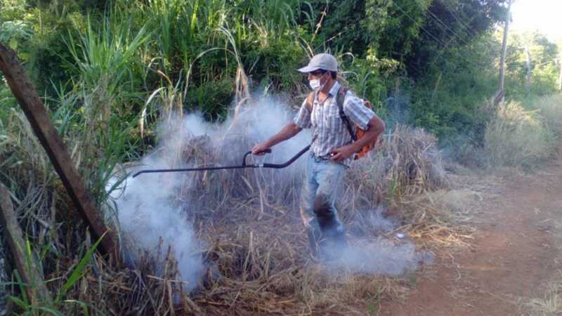 Lucha contra el dengue en Panambí: operativos de limpieza y fumigación en barrios y parajes 1 Lucha contra el Dengue1