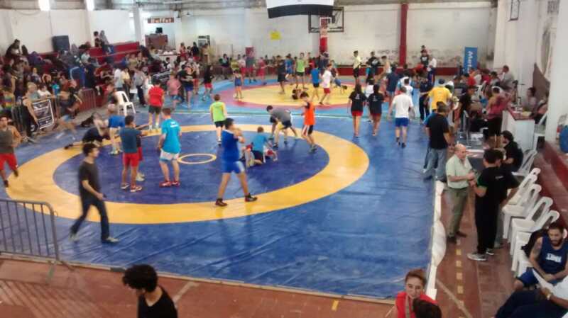 Lucha